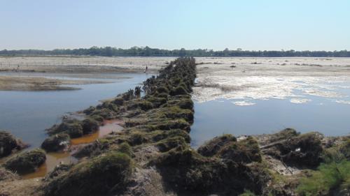 ???????????????????????????????