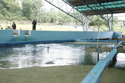 NEHARI Model LAB (1)