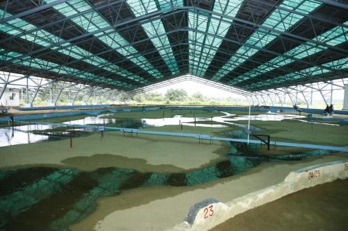 NEHARI Model LAB (4)