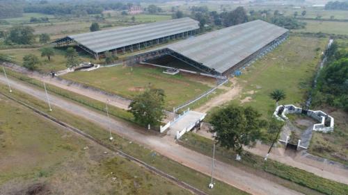 NEHARI Model LAB (5)